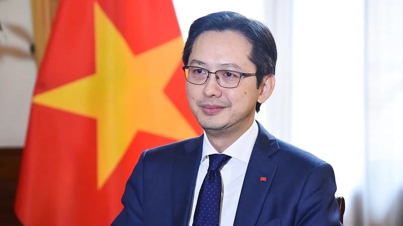 Заместитель министра иностранных дел Вьетнама До Хунг Вьет. Фото: МИД Вьетнама
