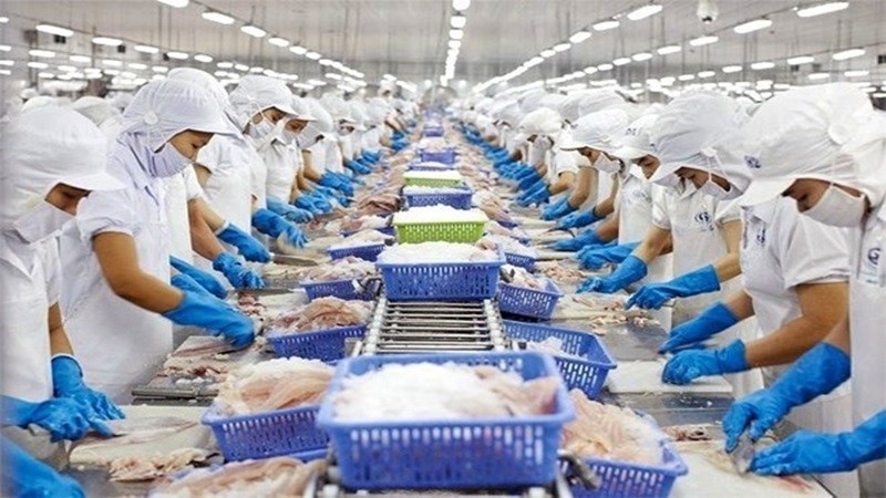 Рабочие обрабатывают рыбу для экспорта. 