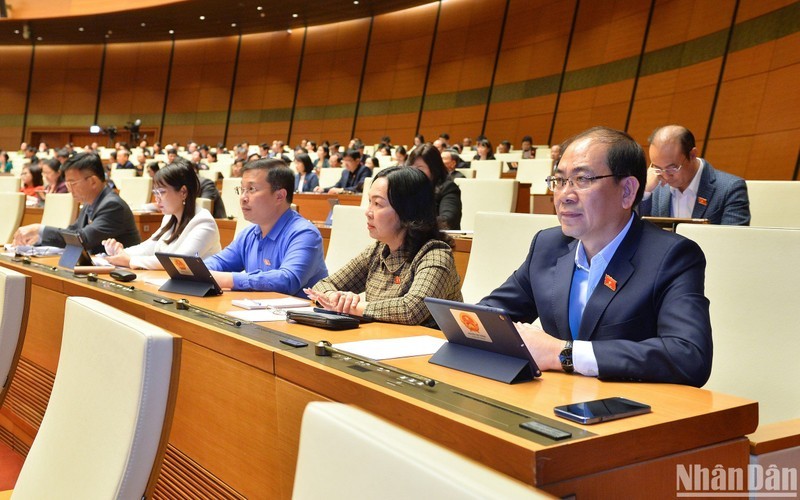 Делегаты на сессии. Фото: Тхюи Нгуен