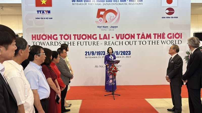Генеральный директор ВИА Ву Вьет Чанг выступает на открытии выставки. 