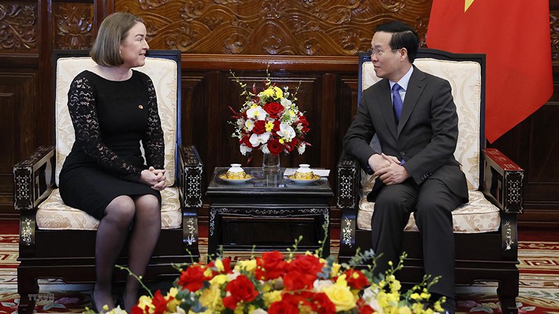 Президент Во Ван Тхыонг принимает Посла Ирландии Дейрдре Ни Фхаллуин. Фото: ВИА