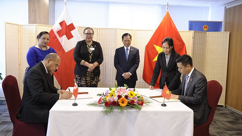 Общий вид церемонии подписания Совместного коммюнике об установлении дипломатических отношений между Вьетнамом и Тонгой. Фото: МИД