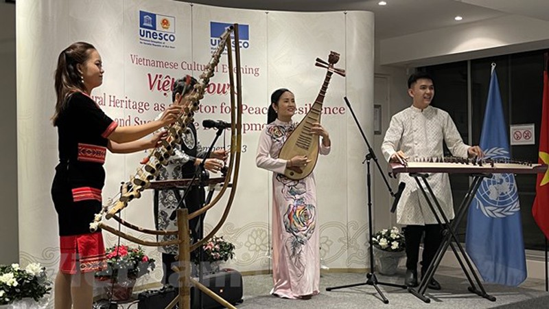 Выступление вьетнамских артистов на культурном вечере. Фото: ВИА