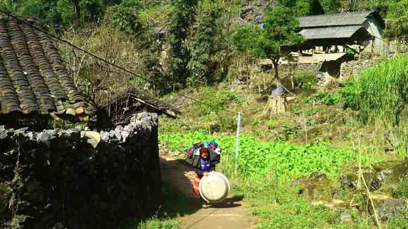 Деревня Шаоха расположена посреди леса Вантяй в общине Вантяй уезда Донгван провинции Хажанг. Здесь проживают представители народности Хмонг.