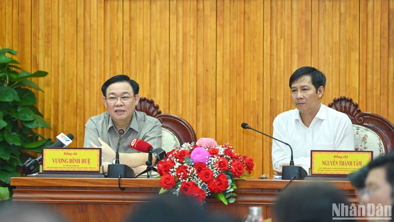 Председатель НС Выонг Динь Хюэ выступает на рабочей встрече. 