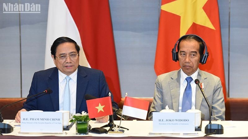 Премьер-министр Фам Минь Тьинь и Президент Джоко Видодо сопредседательствуют на Вьетнамско-индонезийском бизнес-диалоге высокого уровня. Фото: Чан Хай