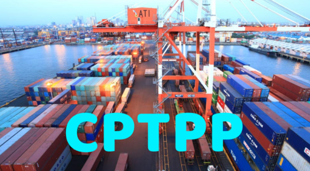 Экспорт морепродуктов в страны-члены ВПТТП в последние годы постоянно растет. Фото: VGP
