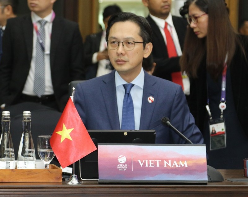 Заместитель министра иностранных дел Вьетнама До Хунг Вьет. Фото: ВИА