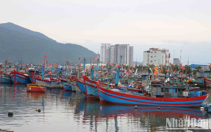 Вьетнам добился выдающихся результатов в борьбе с ННН-промыслом.