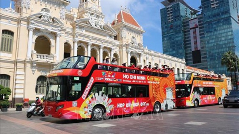 Туристические автобусы в городе Хошимине. Фото: ВИА