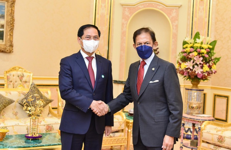 Министр иностранных дел Буй Тхань Шон и Султан Брунея Хаджи Хассанал Болкиах. Фото: МИД Вьетнама