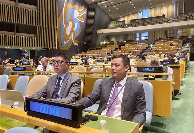 Посол Данг Хоанг Жанг (справа) на заседании Генеральной Ассамблеи ООН. Фото: VNA