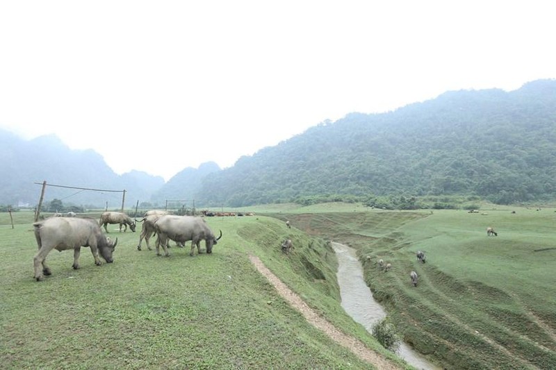 Степь Донглам – привлекательное туристическое направление в земле Ланг