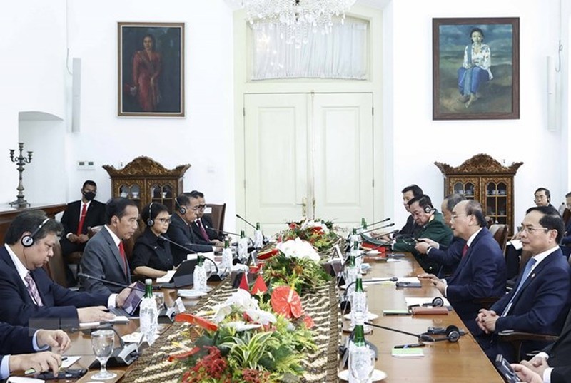 Общий вид переговоров между Президентом Нгуен Суан Фуком и Президентом Индонезии Джоко Видодо. Фото: ВИА