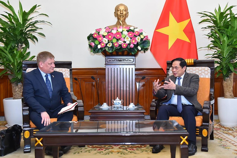 Министр иностранных дел Буй Тхань Шон и г-н Йенс Рубберт. Фото: МИД Вьетнама