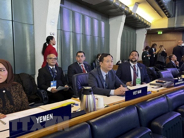 Посол Зыонг Хай Хынг принимает участие в сессии. Фото: ВИА