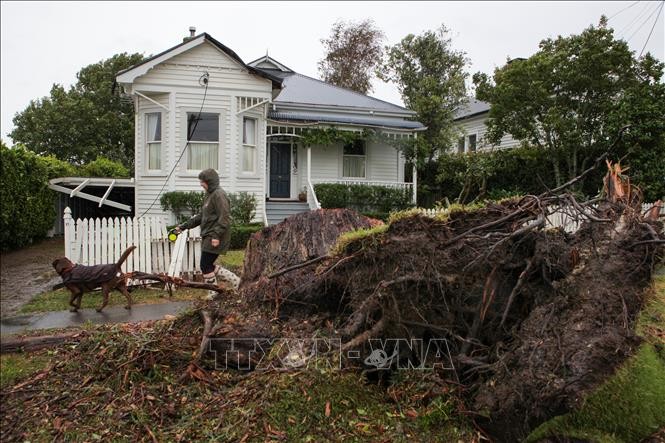 Последствия урагана Габриэль в Окленде (Новая Зеландия), 13 февраля 2023 года. Фото: Синьхуа/ВИА