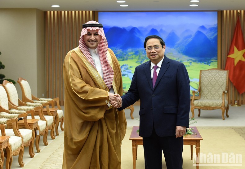 Премьер-министр Фам Минь Тьинь и Посол Саудовской Аравии во Вьетнаме Мохаммед Исмаил А. Далви. Фото: Чан Хай