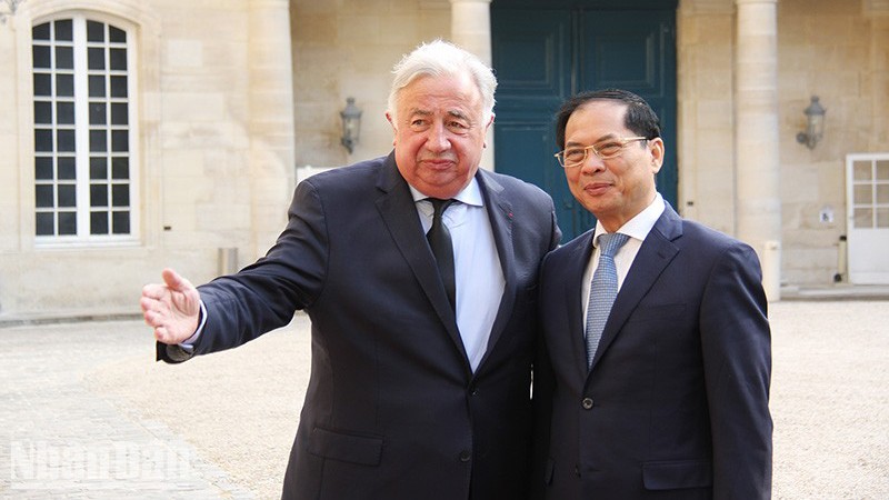 Председатель Сената Франции Жерар Ларше принимает Министра иностранных дел Буй Тхань Шона. Фото: Кхай Хоан