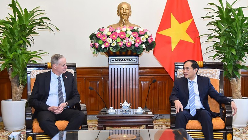 Министр иностранных дел Буй Тхань Шон (справа) и Посол Израиля во Вьетнаме Ярон Майер. Фото: baoquocte.vn