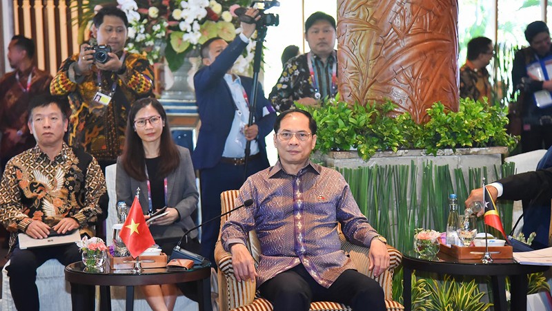 Министр иностранных дел Буй Тхань Шон (в центре) на встрече. Фото: МИД Вьетнама
