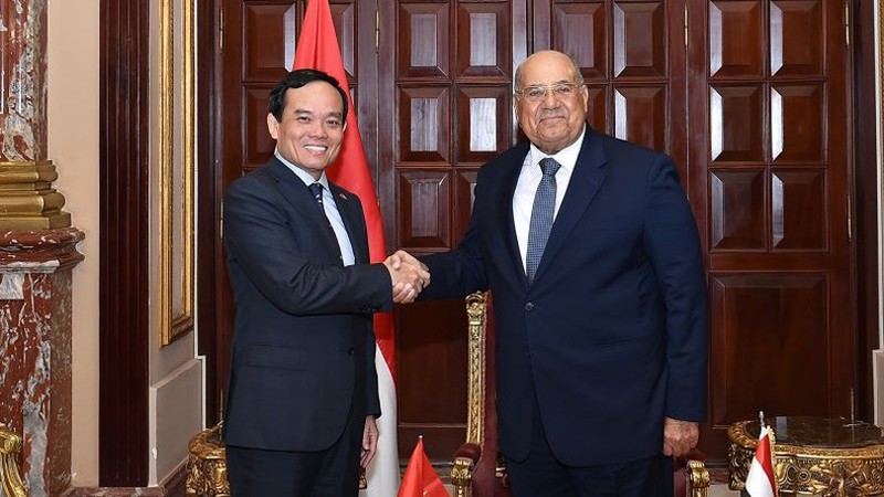 Вице-премьер Чан Лыу Куанг (слева) и Председатель Сената Египта Абдель-Вахаб Абдель-Разек. Фото: МИД Вьетнама