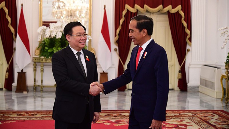 Председатель НС Выонг Динь Хюэ и Президент Индонезии Джоко Видодо. Фото: внештатный сотрудник газеты «Нянзан»