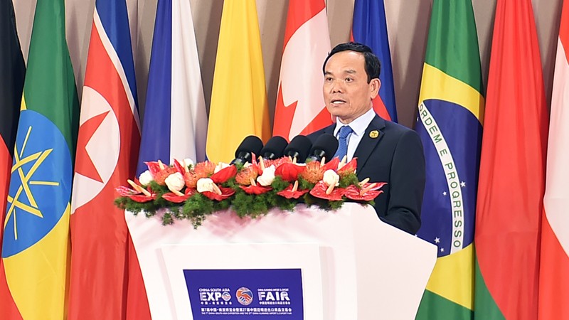 Вице-премьер Вьетнама Чан Лыу Куанг выступает с речью на церемонии. Фото: МИД Вьетнама
