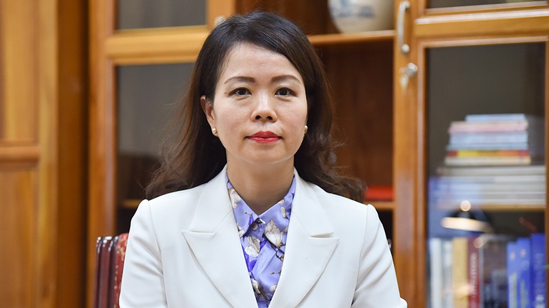 Заместитель министра иностранных дел Вьетнама Нгуен Минь Ханг. Фото: МИД Вьетнама