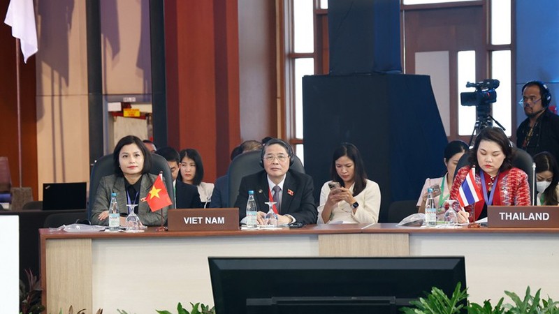 Заместитель председателя НС Вьетнама Нгуен Дык Хай на пленарном заседании АТПФ-31. Фото: ВИА