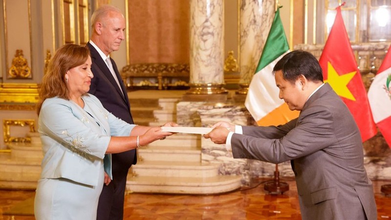 Посол Буй Ван Нги вручает верительные грамоты Президенту Перу Дине Болуарте. Фото: ВИА