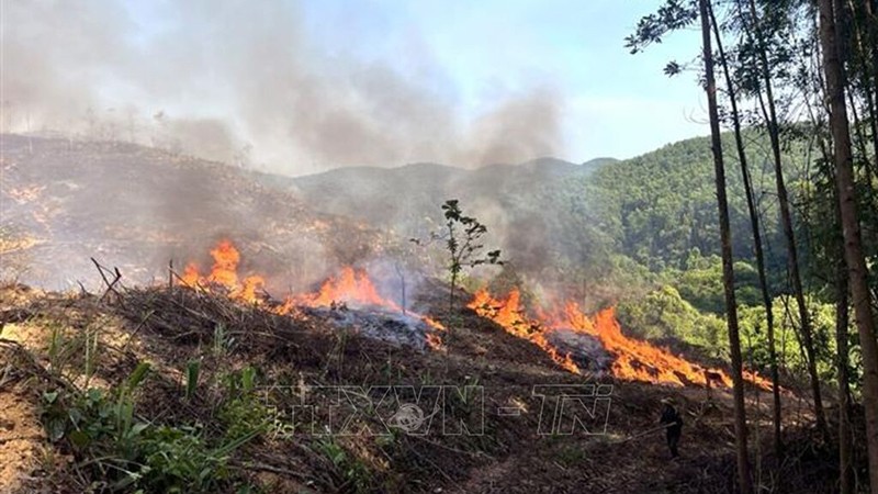 Лесной пожар в провинции Куангчи, май 2023 года. Фото: ВИА