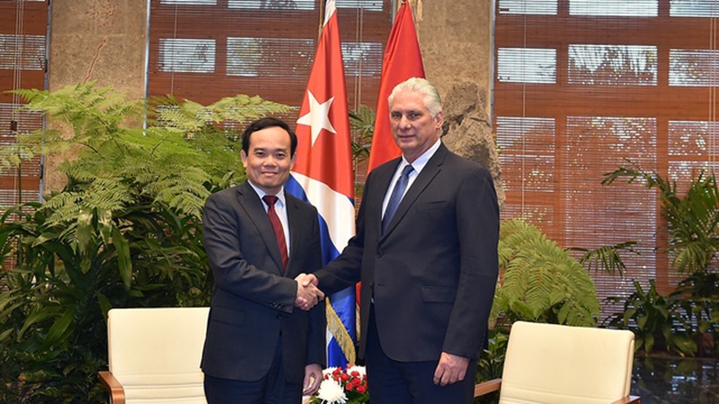 Вице-премьер Вьетнама Чан Лыу Куанг на встрече с Первым секретарем ЦК КПК, Президентом Кубы Мигелем Диас-Канелем. Фото: VGP