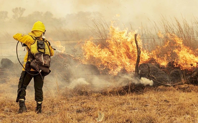 Лесные пожары из-за засушливой погоды в Аргентине. Фото: Рейтер