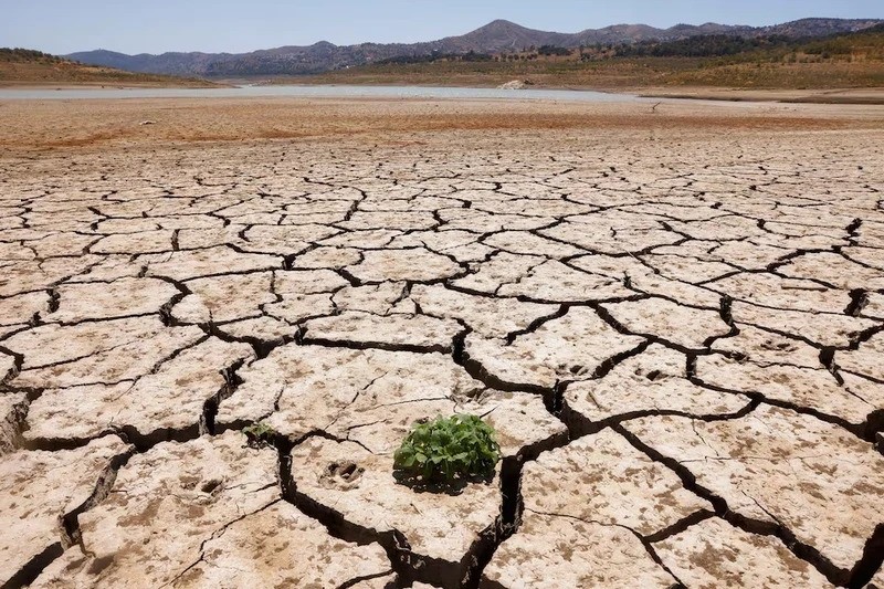 Водохранилище Ла-Винуэла (Испания) во время сильной засухи, 8 августа 2022 года. Фото: Рейтер