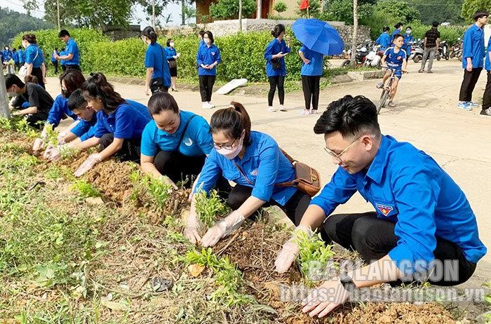 Молодежь участвует в санитарной обработке окружающей среды. Фото: baolangson.vn