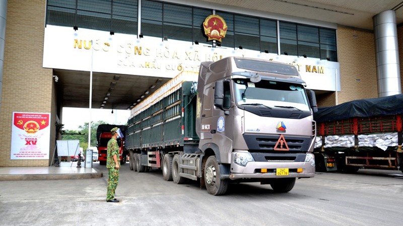 Экспорт свежих личи через контрольно-пропускной пункт Кимтхань. Фото: Куок Хонг