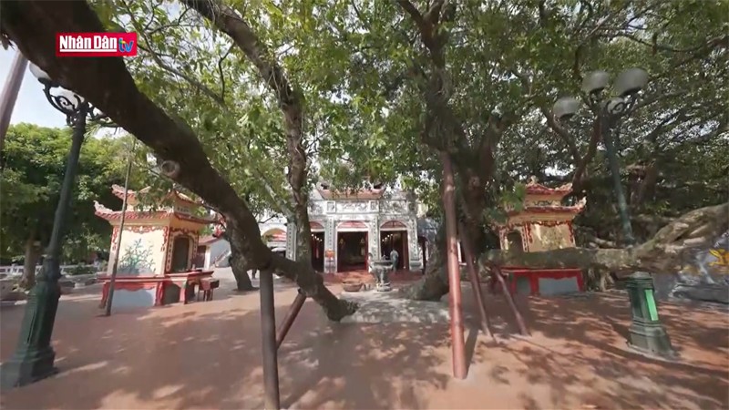 Храм Тэйхо был построен примерно в XVII веке на земляном холме в форме Ким Куи.