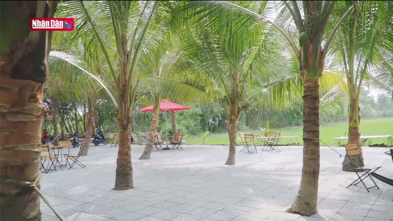 Эко-кокосовый сад стал местом назначения многих семей и молодых людей в Хаужанге. 
