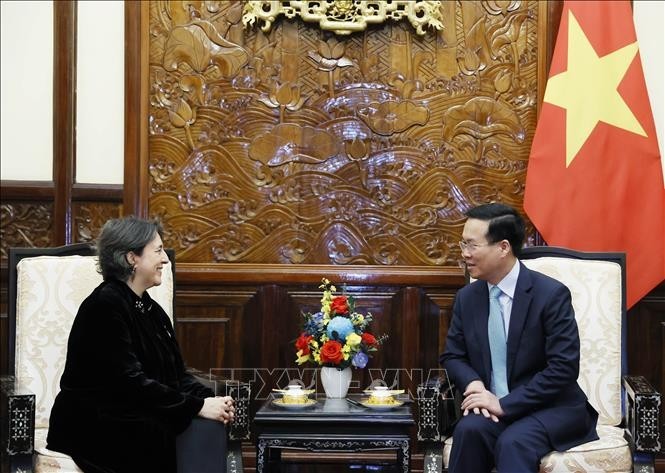 Президент Во Ван Тхыонг и Посол Испании во Вьетнаме Пилар Мендес Хименес. Фото: ВИА