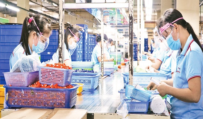 Производственная деятельность акционерного общества по производству шариковых ручек Тхиенлонг в промышленном парке Тантао района Танбинь. Фото: Тхэ Ань
