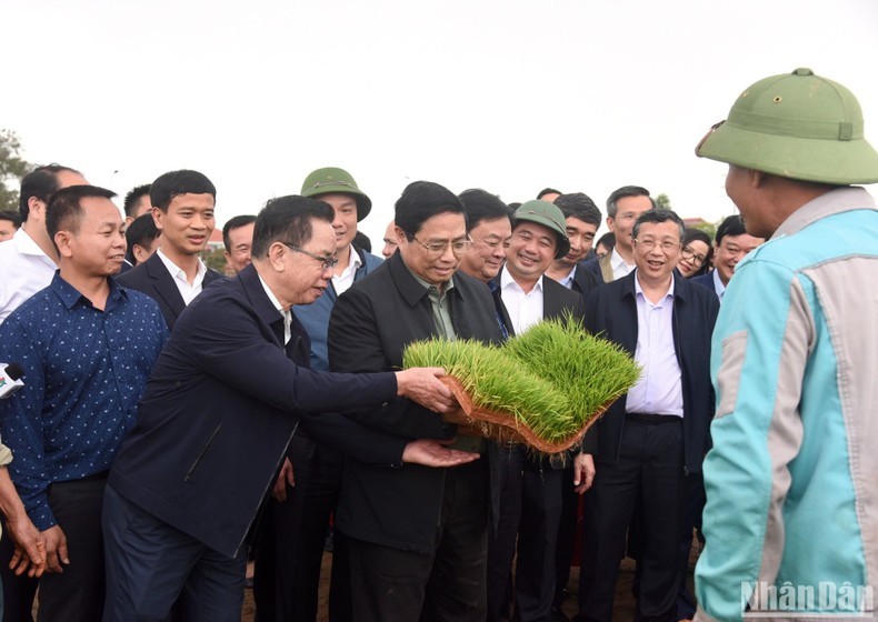 Премьер-министр посещает участок по производству лотков для рассад и поле механической посева. Фото: Чан Хай