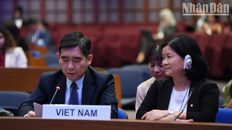 Вьетнамская делегация на заседании. Фото: Суан Шон - Динь Чыонг