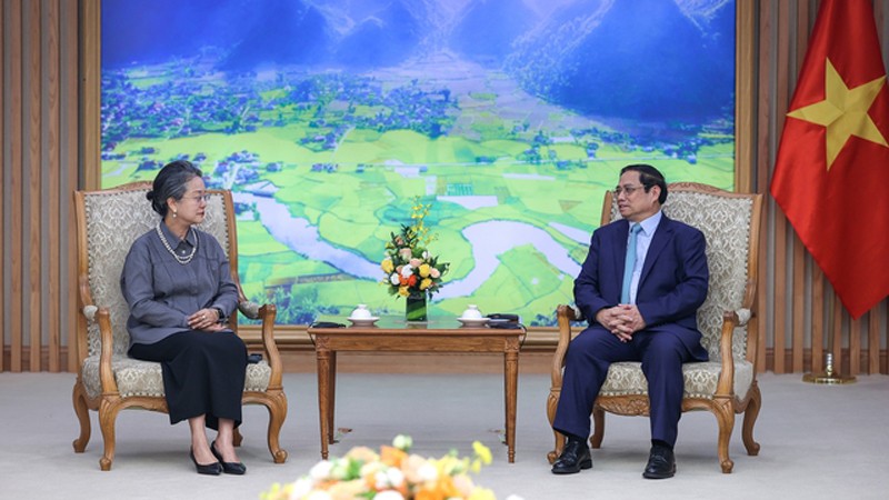 Премьер-министр Фам Минь Тьинь и г-жа Армида Салсиа Алисджабана. Фото: VGP