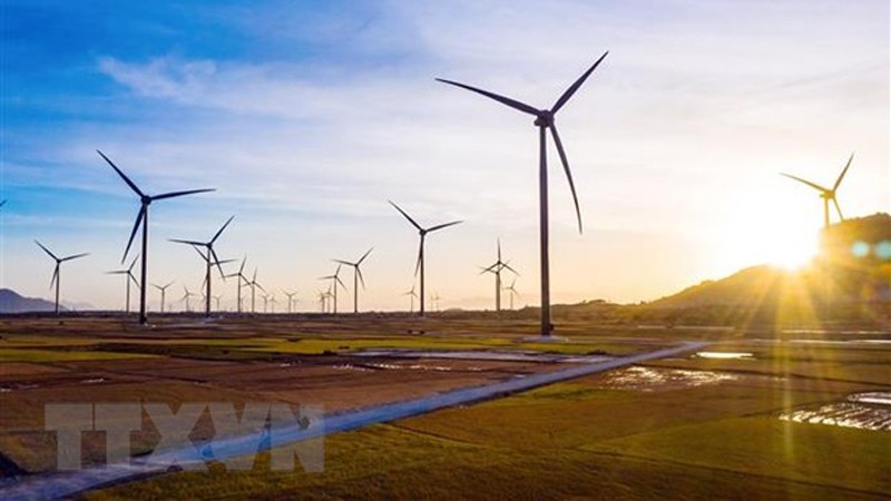 Возобновляемые источники энергии являются областью, которой Вьетнам и ОАЭ придают большое значение. Фото: ВИА