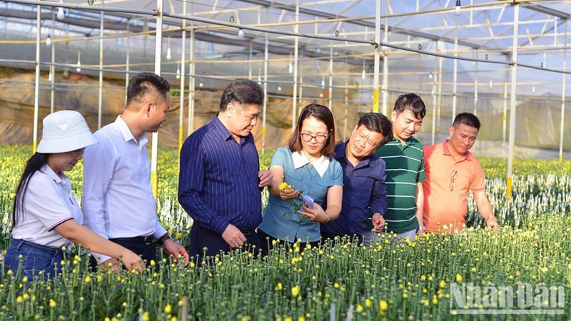 Посещение высокотехнологичной модели производства цветов в городе Далат провинции Ламдонг.
