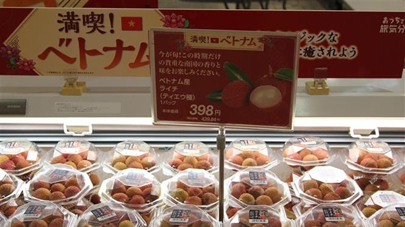 Вьетнамские личи продаются в японском супермаркете. Фото: ВИА