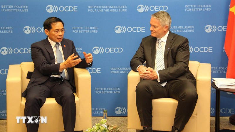 Министр Буй Тхань Шон (слева) и Генеральный секретарь ОЭСР Матиас Корманн. Фото: ВИА