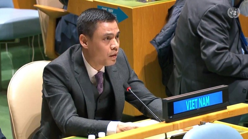 Посол Данг Хоанг Жанг, глава Постоянной миссии Вьетнама при ООН. Фото: VOV