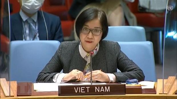 Посол Нгуен Фыонг Ча, заместитель главы Постоянной миссии Вьетнама при ООН. Фото: VNA